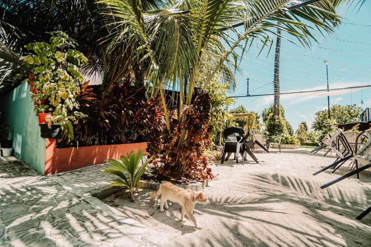 Oceana Boutique Hotel Maafushi Buitenkant foto