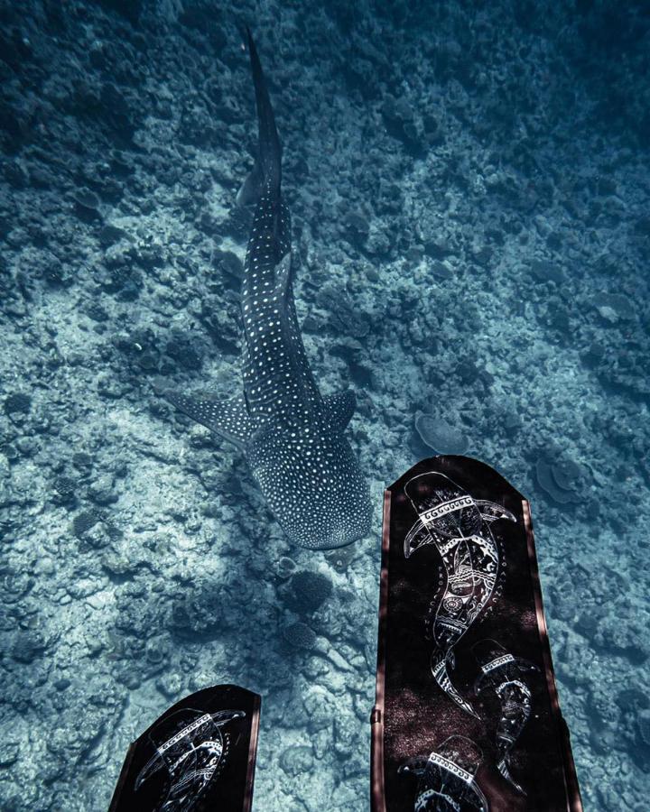 Oceana Boutique Hotel Maafushi Buitenkant foto