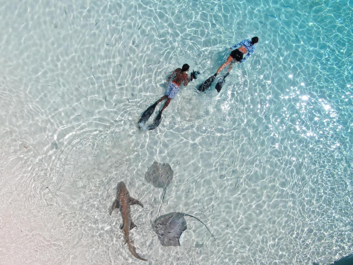 Oceana Boutique Hotel Maafushi Buitenkant foto